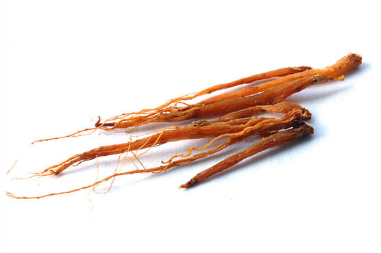 Asian Red Ginseng